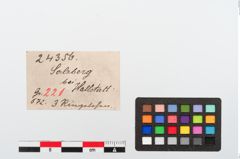 Etiketten zu Bronzering (NHMW-PRAE-024356)
